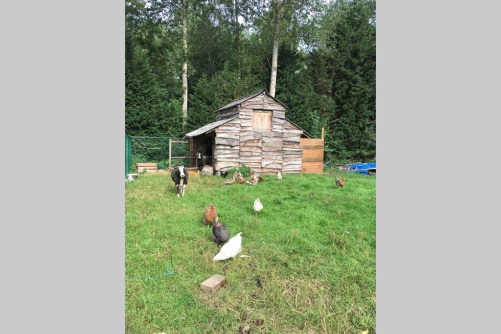 Cozy Studio On A Quaint Farm Leilighet Kruibeke Eksteriør bilde